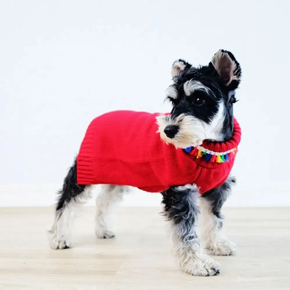 Anniepaw Winter Turtleneck Sweater for Small Dogs Cats Chihuahua Soft Knitted Pet Costumes