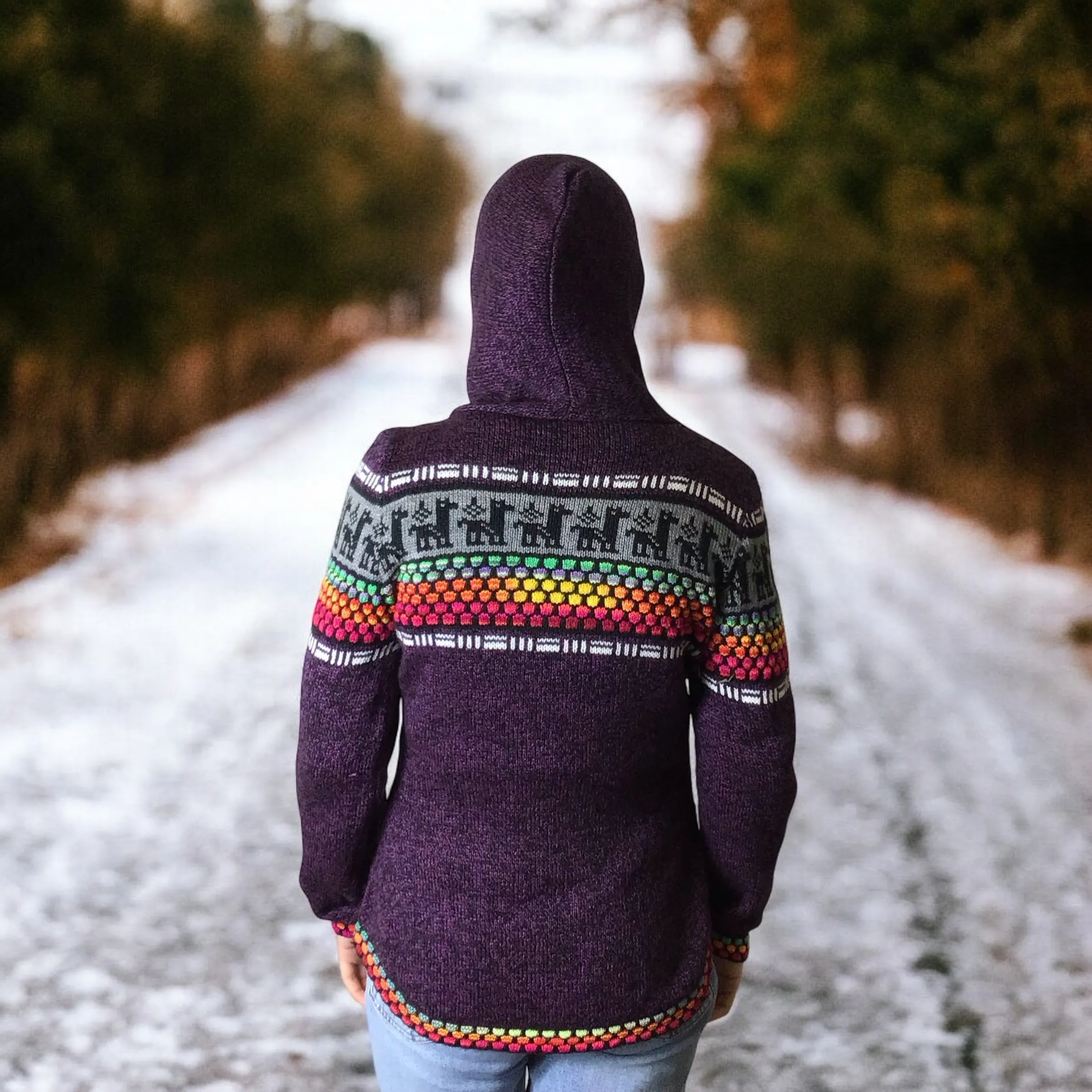 Colorful Alpaca Sweater (3)