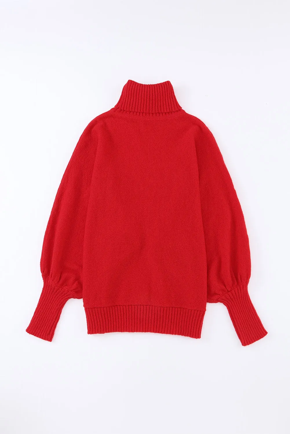 Embroidered Merry Turtleneck Sweater