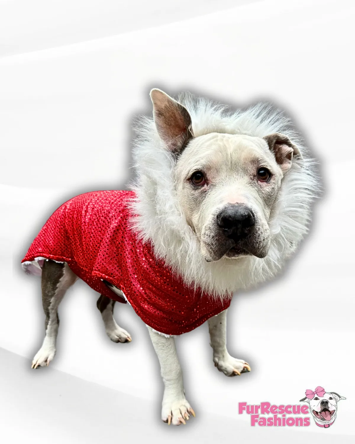 Fancy Red Sequins & Faux White Fur Dog Cape