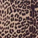 Leopard Print Double Breasted Trench Coat