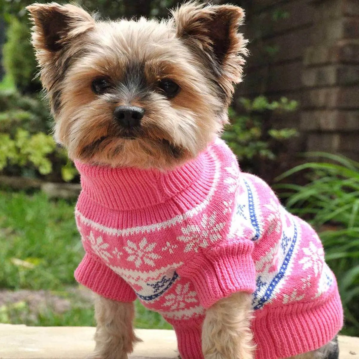 Pink Snowflake and Hearts Dog Sweater