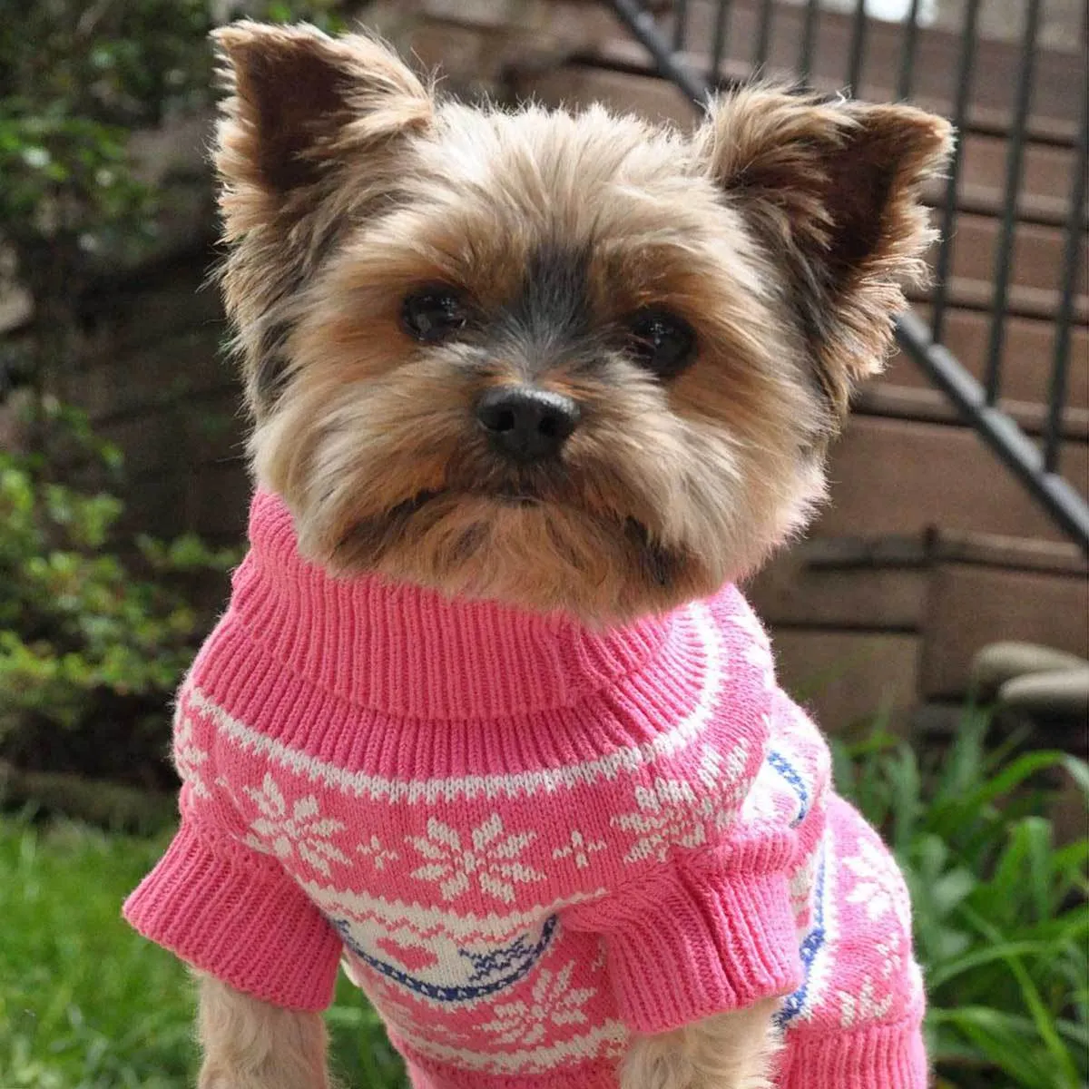 Pink Snowflake and Hearts Dog Sweater