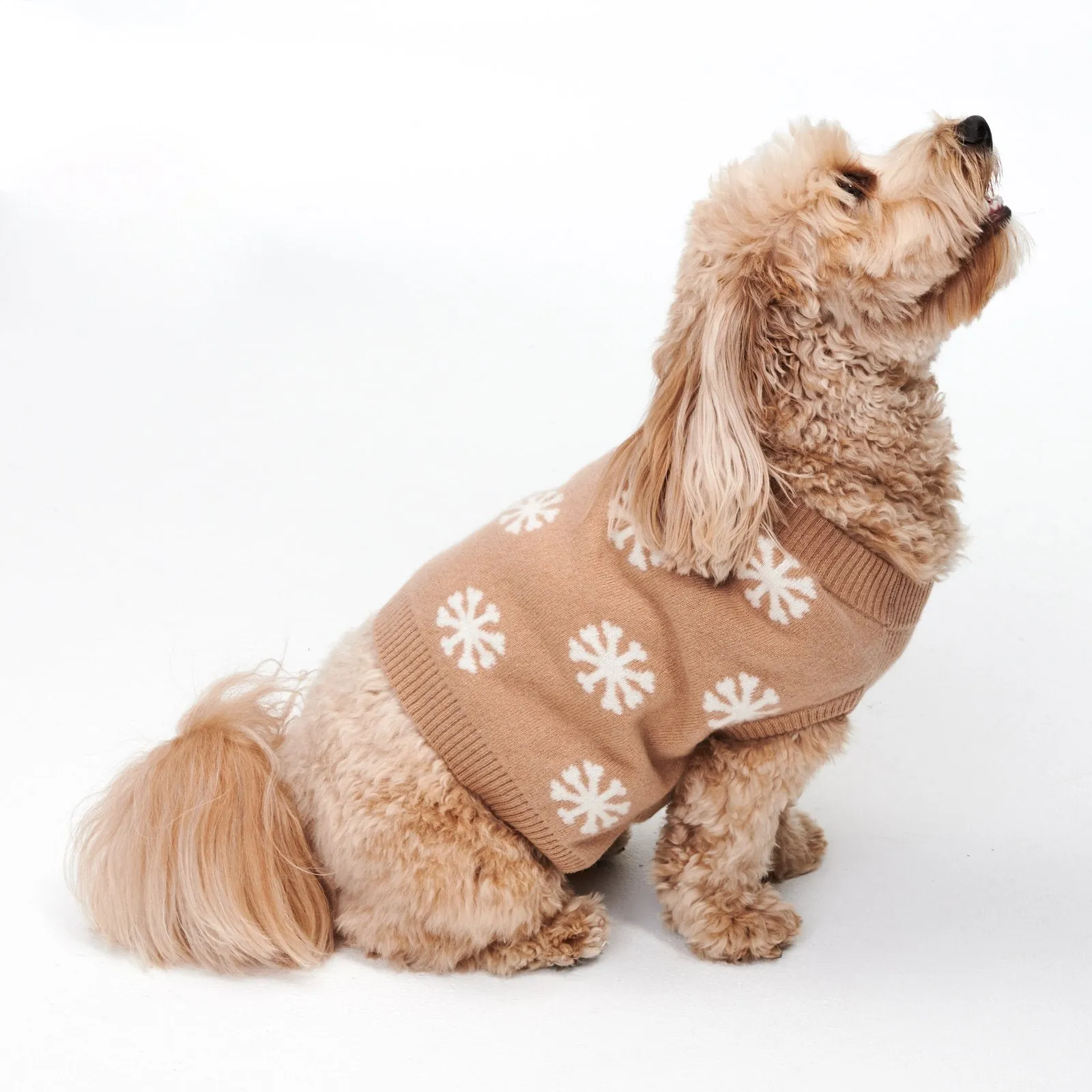 Reversible Cashmere Snowflake Dog Sweater