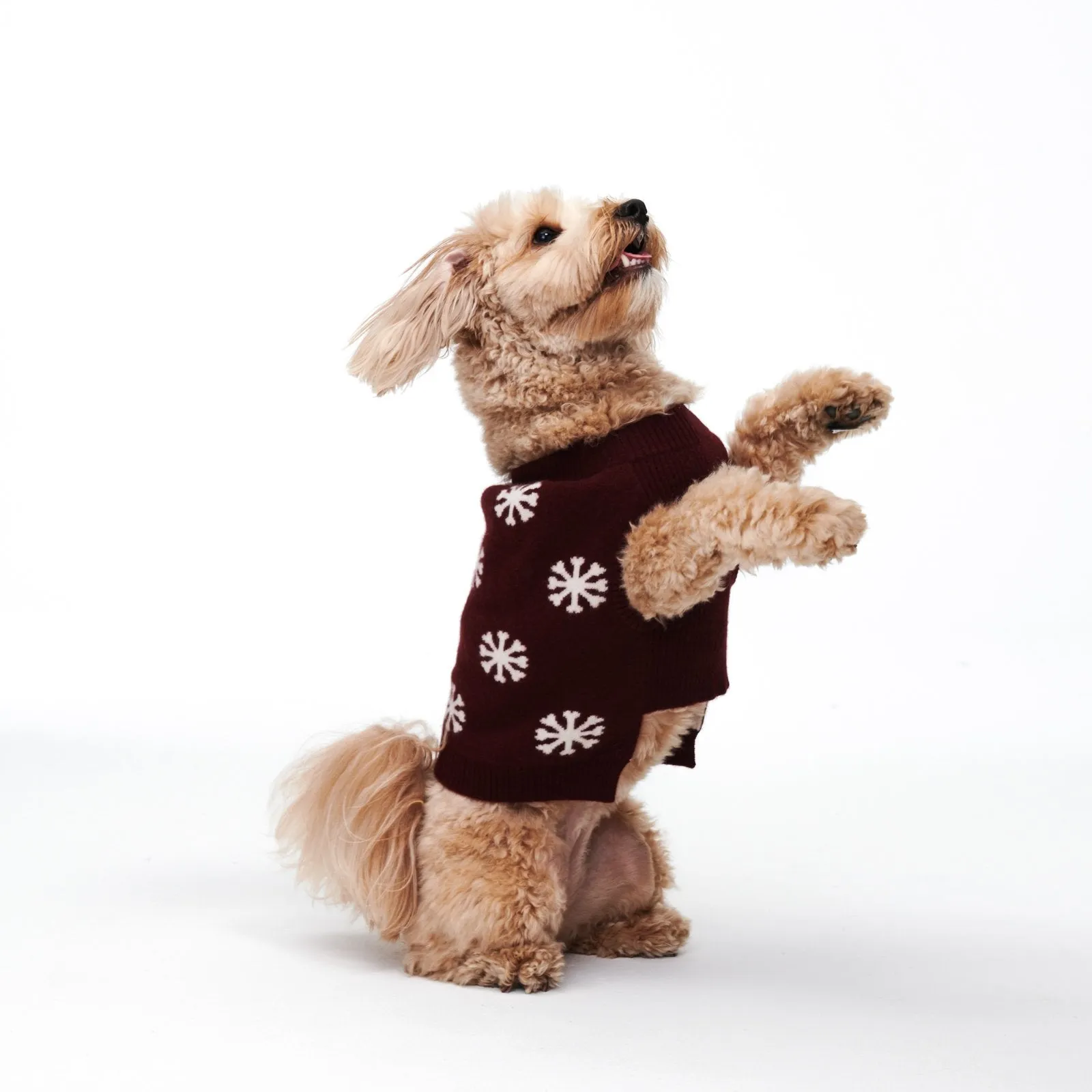 Reversible Cashmere Snowflake Dog Sweater