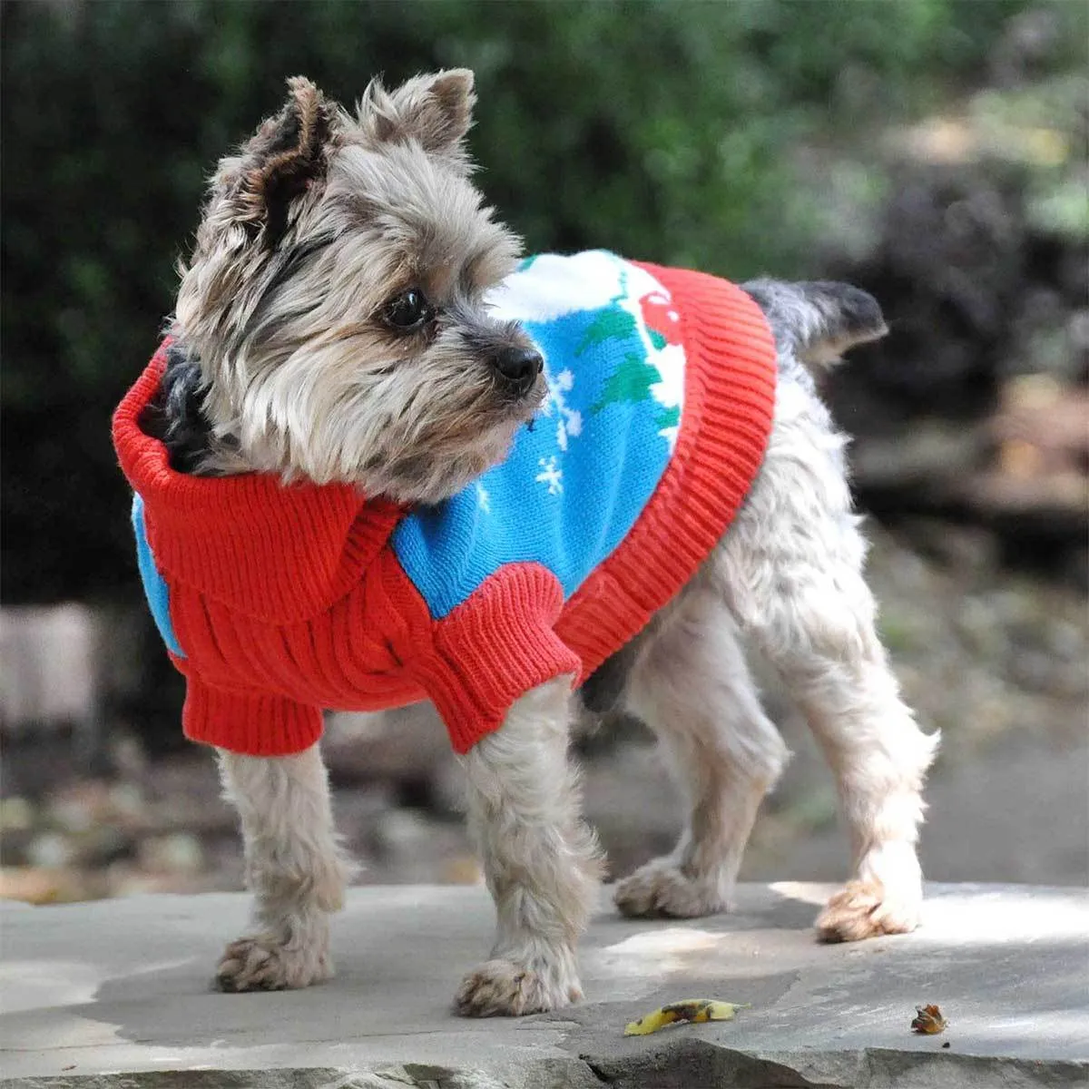 Snowman Holiday Dog Sweater