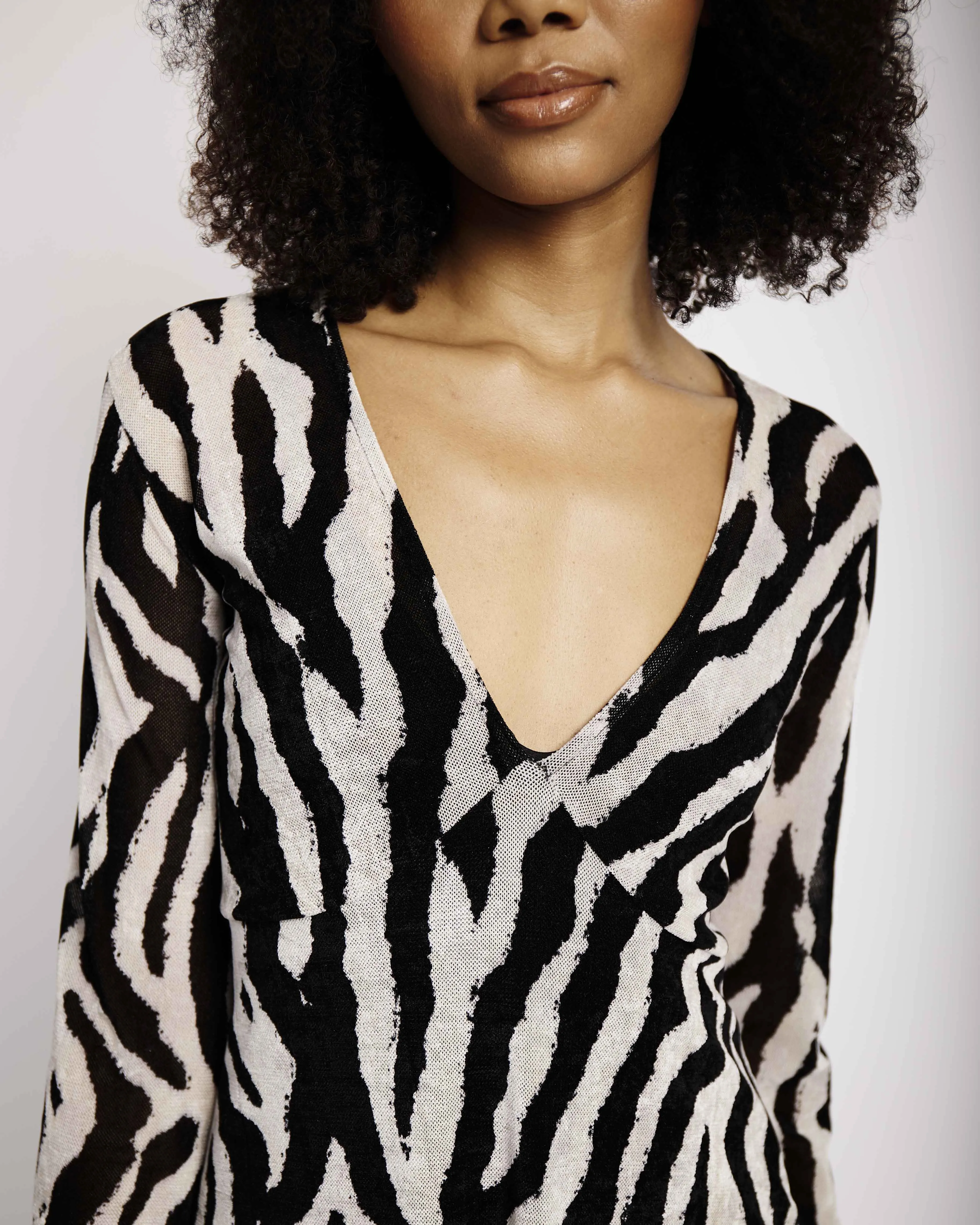 Velvet Mesh Dress in Mono Zebra